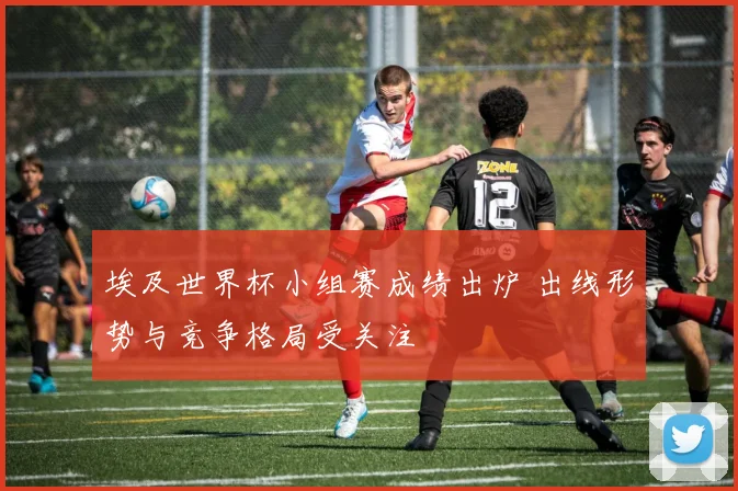 埃及世界杯小组赛成绩出炉 出线形势与竞争格局受关注