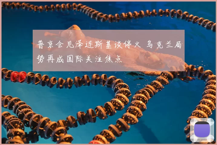 普京会见泽连斯基谈停火 乌克兰局势再成国际关注焦点