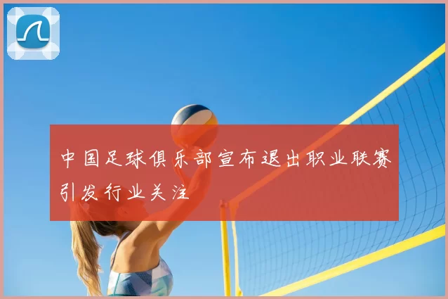 中国足球俱乐部宣布退出职业联赛引发行业关注