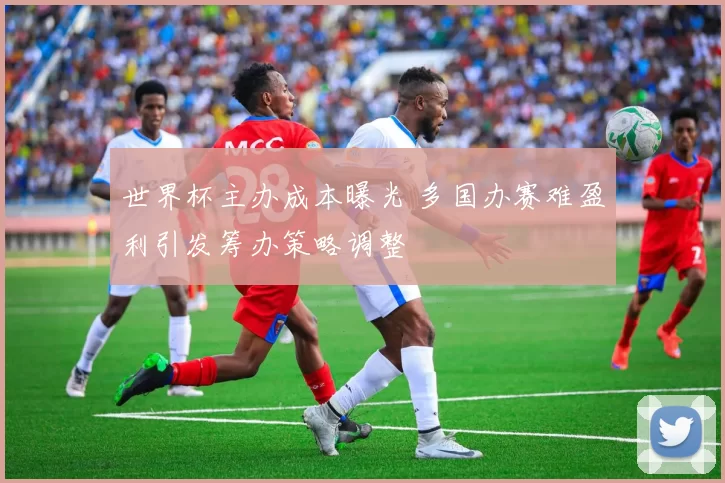 世界杯主办成本曝光 多国办赛难盈利引发筹办策略调整